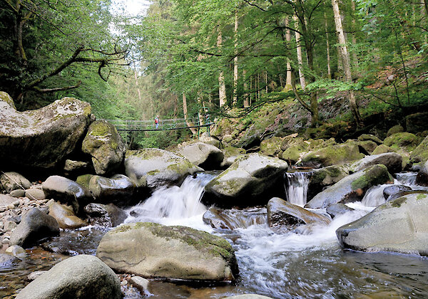 Urlaub am Nationalpark Bayerischer Wald